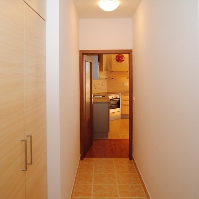 3273_1707664768.jpg