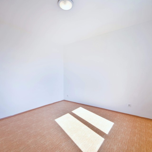 355_4516205940.jpg