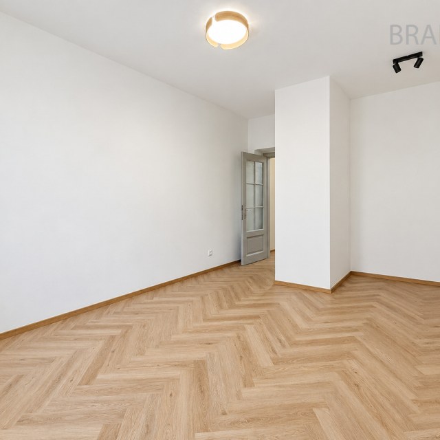 384_4445573116.jpg